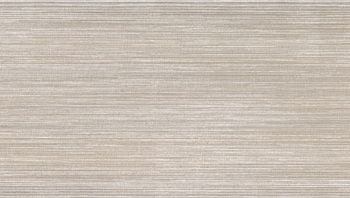 Linear Vision Beige Plain 500x250mm