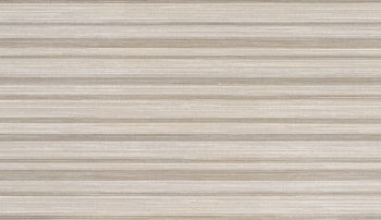 Linear Vision Beige Decor 500x250mm