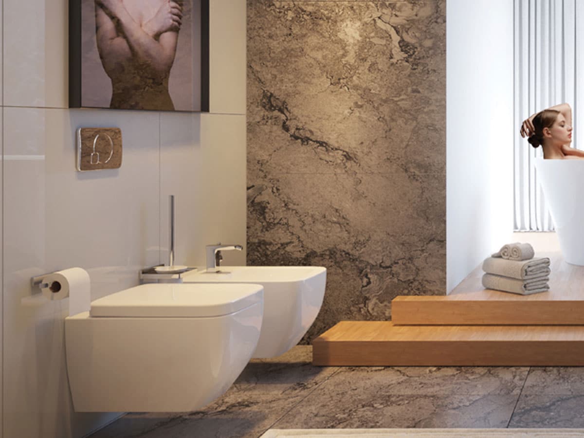 wall hung toilet and bidet in a designer bathroom